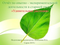 Отчёт по опытно - экспериментальной- деятельности в старшей группе Удивительные растения. опыты и эксперименты (старшая группа)