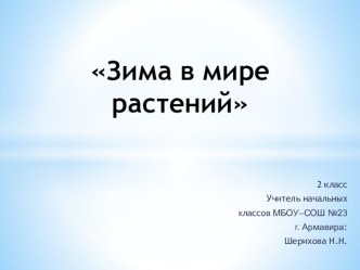 Тема: Зима в мире растений. план-конспект урока по окружающему миру (2 класс) по теме