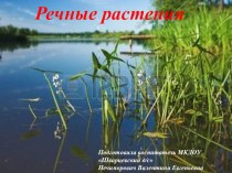 Презентация Речные растения презентация к уроку по окружающему миру (старшая группа) по теме