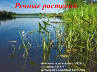 Презентация Речные растения презентация к уроку по окружающему миру (старшая группа) по теме