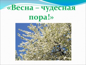 Презентация к классссному часу Весна - чудесная пора презентация к уроку (3 класс) по теме