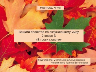 В гости к осени 2 Б класс проект по окружающему миру (2 класс) по теме