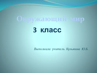 Презентация Разнообразие животных 3 класс презентация к уроку по окружающему миру (3 класс)