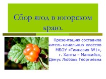 Презентация к уроку Ягоды югорского края презентация к уроку (3 класс)