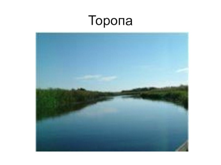 Торопа