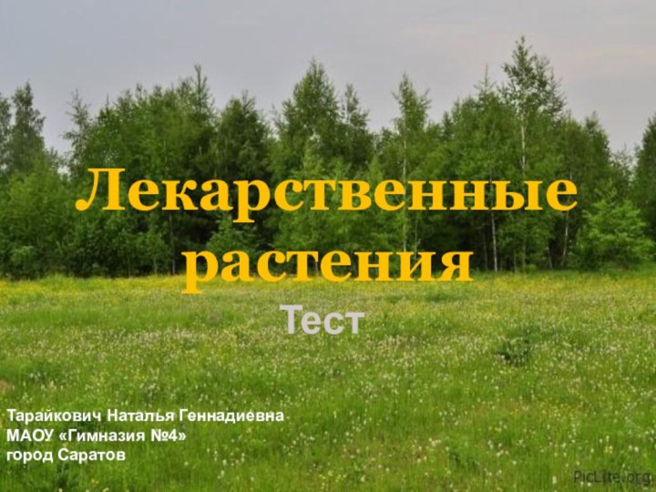 Лекарственные растения Тест Тарайкович Наталья ГеннадиевнаМАОУ «Гимназия №4»город Саратов