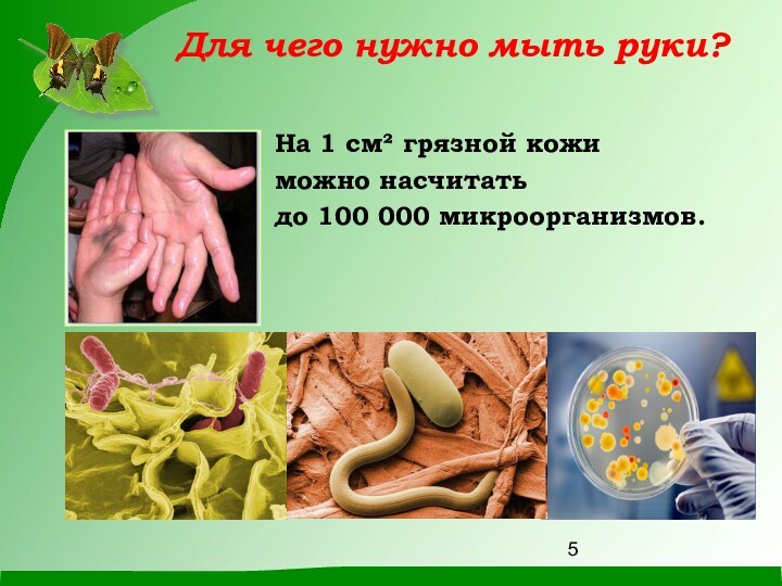 Для чего нужно мыть руки?На 1 см² грязной кожиможно насчитать до 100 000 микроорганизмов.