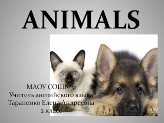 Презентация Animals, 2 класс презентация к уроку по иностранному языку (2 класс) по теме