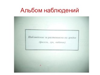Альбом наблюдений материал