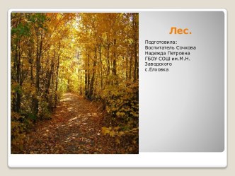 Презентация. Лес. презентация к уроку (старшая, подготовительная группа)