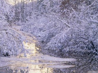 prezentatsiya k vnek