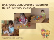 Важность сенсорики в развитии детей раннего возраста презентация к уроку по развитию речи по теме