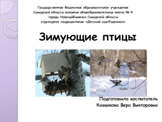 Презентация Зимующие птицы презентация к занятию (подготовительная группа) по теме
