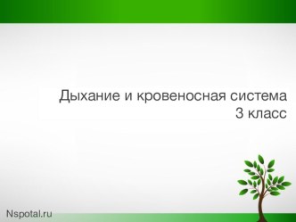 Дыхание и кровеносная система 3 класс презентация к уроку по окружающему миру (3 класс)