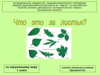 Презентация к уроку по окружающему миру презентация к уроку по окружающему миру (1 класс)