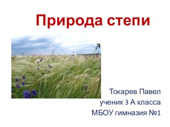 Презентация к уроку окружающего мира. Степь-2 презентация к уроку по окружающему миру (3 класс)