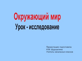 Кто такие птицы? презентация к уроку по окружающему миру (1 класс)