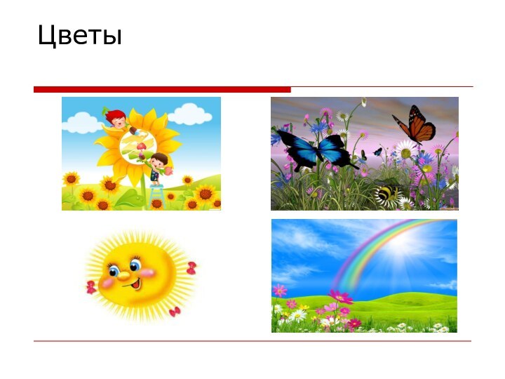 Цветы