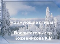 презентация зимующие птицы презентация к уроку по окружающему миру (младшая группа)