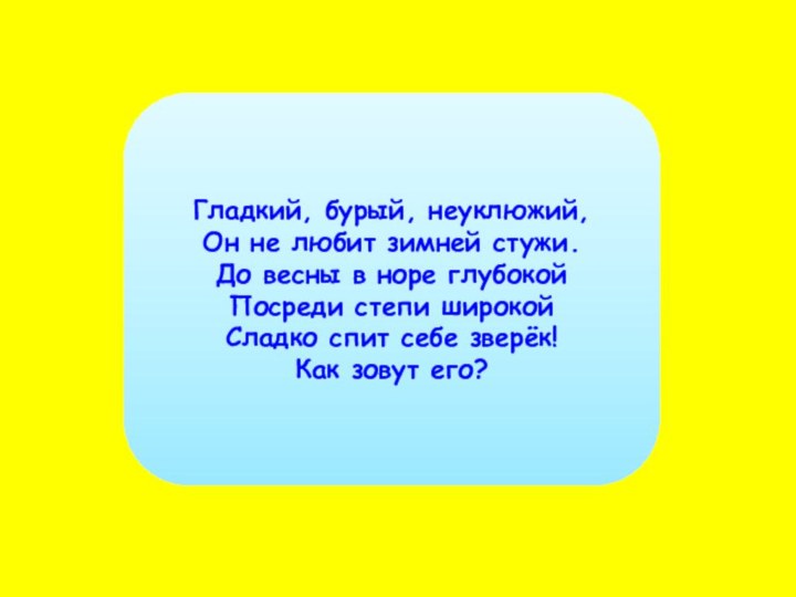 Гладкий, бурый, неуклюжий,  Он не любит зимней стужи.  До весны в норе