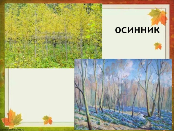 осинник