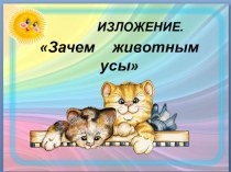 Изложение  Зачем животным усы презентация к уроку по русскому языку (3 класс)