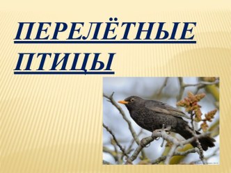 Презентация. Перелётные птицы презентация к уроку (старшая группа)