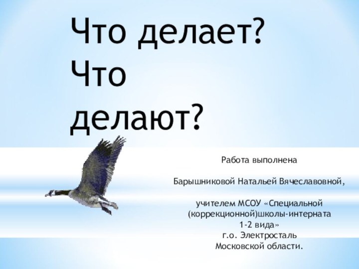 Что делает?Что делают? Работа выполнена Барышниковой Натальей Вячеславовной,учителем МСОУ «Специальной (коррекционной)школы-интерната 1-2 вида»г.о. ЭлектростальМосковской области.