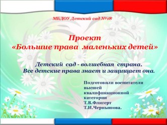 Проект  Большие права маленьких детей проект (подготовительная группа)