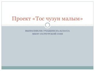 Проект Тос чузун малым проект (2 класс) по теме