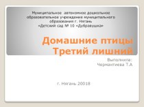 Презентация. Домашние птицы. Третий лишний. презентация к уроку по окружающему миру (младшая группа) по теме