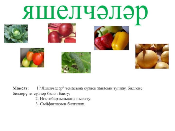 яшелчәләрМаксат:    1.”Яшелчәләр” темасына сүзлек запасын туплау, билгене белдерүче сүзләр