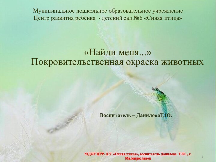 «Найди меня...» Покровительственная окраска животныхМуниципальное дошкольное образовательное учреждение Центр развития ребёнка -