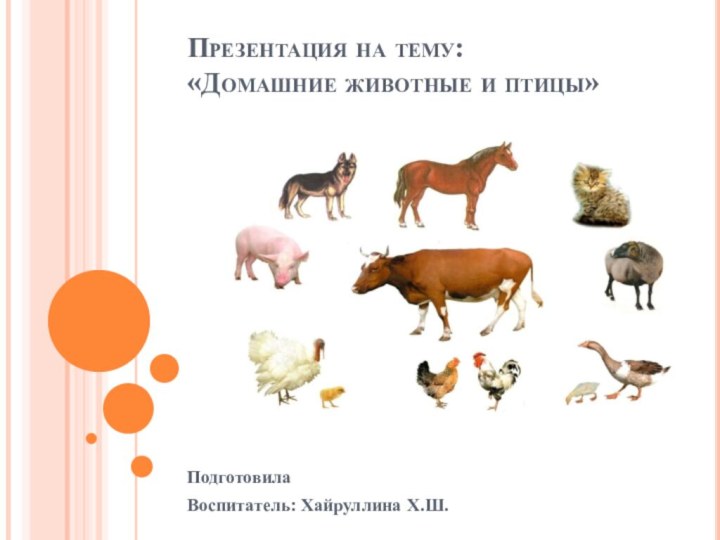 Презентация на тему: «Домашние животные и птицы» Подготовила Воспитатель: Хайруллина Х.Ш.