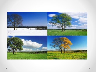 презентация Времена года презентация к уроку (младшая, средняя группа)