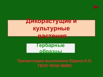 Дикорастущие и культурные растения презентация к уроку по окружающему миру (3 класс)