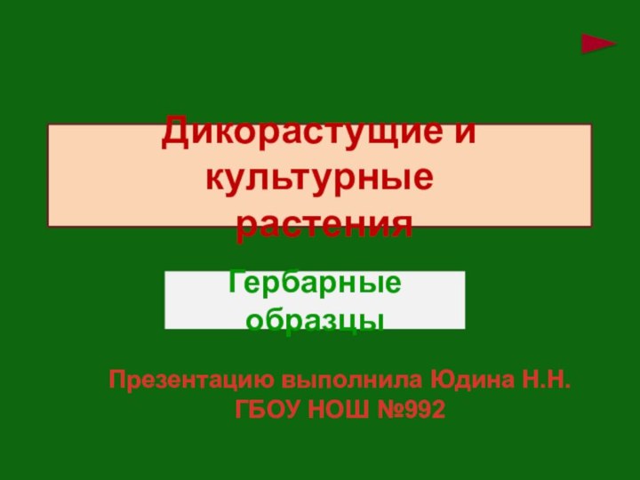 Дикорастущие и культурные  растенияГербарные образцыПрезентацию выполнила Юдина Н.Н.ГБОУ НОШ №992