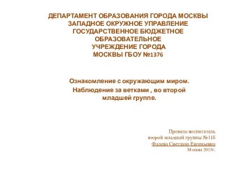 Ознакомление с окружающим миром. Наблюдение за ветками , во второй младшей группе. презентация к уроку по окружающему миру (младшая группа) по теме