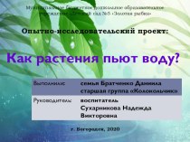 Опытно-исследовательский проект Как растения пьют воду проект по окружающему миру (старшая группа)