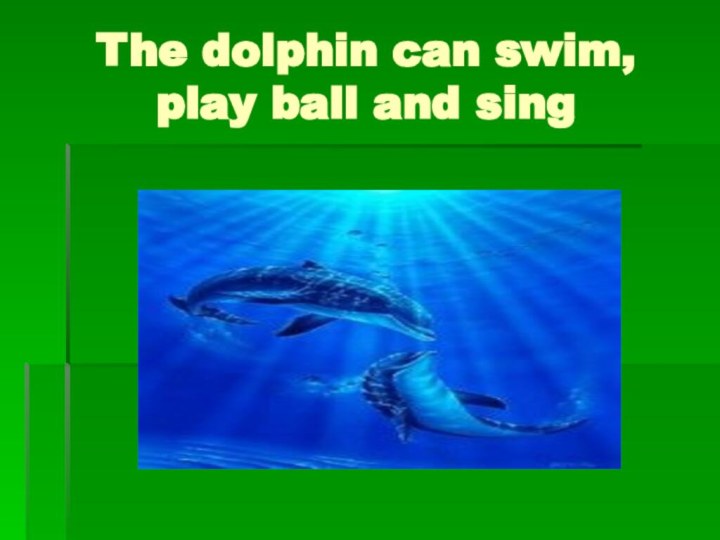 The dolphin can swim, play ball and sing