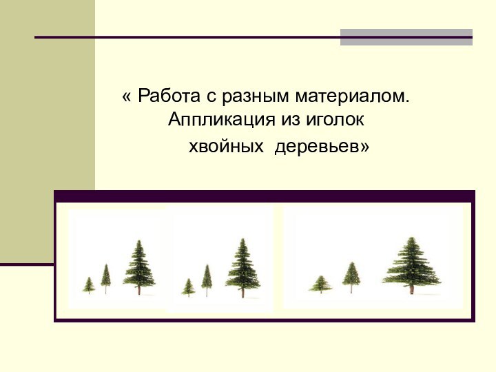 « Работа с разным материалом. Аппликация из иголок   хвойных деревьев»