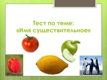 Тест Имя существительное презентация урока для интерактивной доски по русскому языку (3 класс)
