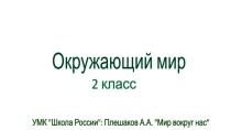 Строение человека план-конспект урока по окружающему миру (2 класс)