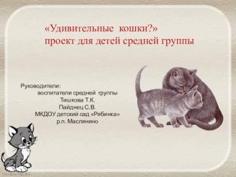 Познавательно- творческий проект Удивительные кошки проект (средняя группа)