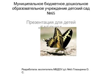 БАБОЧКИ презентация к уроку (старшая группа)