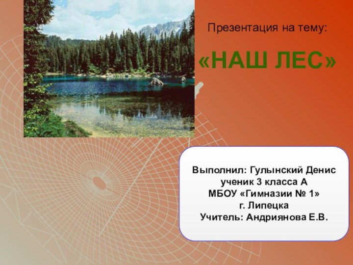 Презентация на тему:«НАШ ЛЕС»Выполнил: Гулынский Денисученик 3 класса АМБОУ «Гимназии № 1»г. ЛипецкаУчитель: Андриянова Е.В.