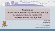 Развитие математических представлений у дошкольников в процессе ознакомления с природой статья по математике по теме