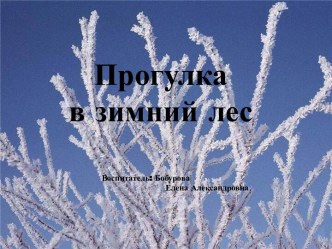 Прогулка в зимний лес план-конспект занятия по развитию речи (средняя группа)