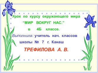 Глобус -модель Земли.Окружающий мир 4 класс. Школа России план-конспект урока по окружающему миру (4 класс) по теме