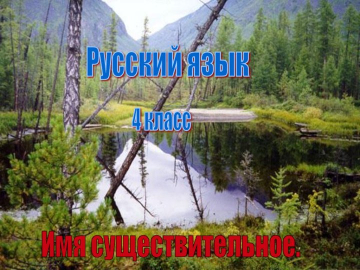 Русский язык4 классИмя существительное.